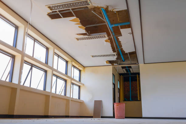 Best Local water damage restoration  in Greenbriar, VA
