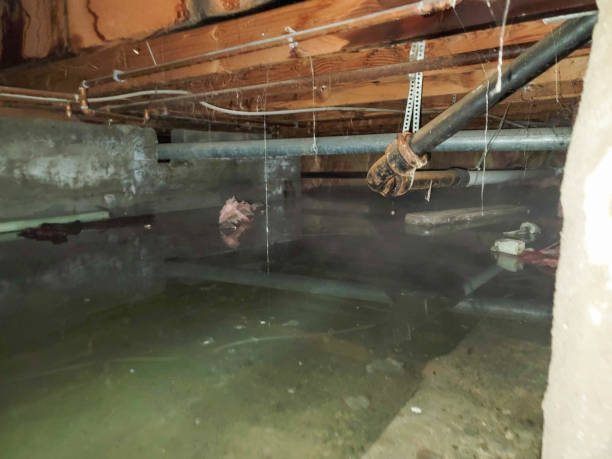 Best Local water damage restoration  in Greenbriar, VA