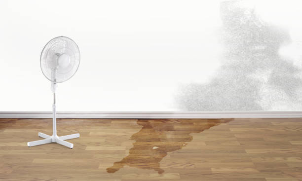 Local water damage restoration in Greenbriar, VA
