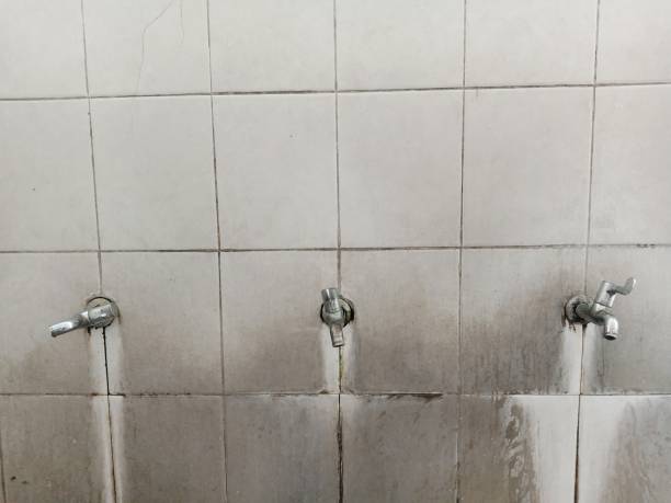 Best Water damage restoration experts  in Greenbriar, VA