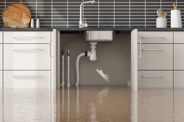 Best 24-hour water damage restoration  in Greenbriar, VA