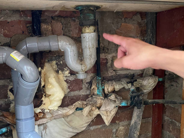 Best Flooded house restoration  in Greenbriar, VA