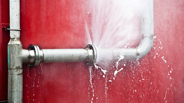 Best Ceiling water damage repair  in Greenbriar, VA